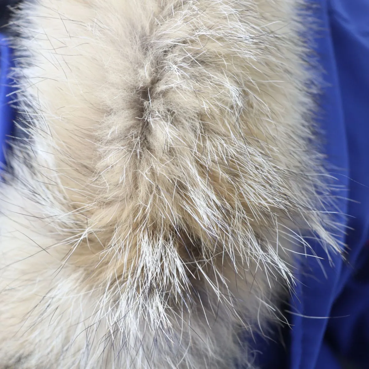 Canada Goose Charlotte Parka Jacket Blue