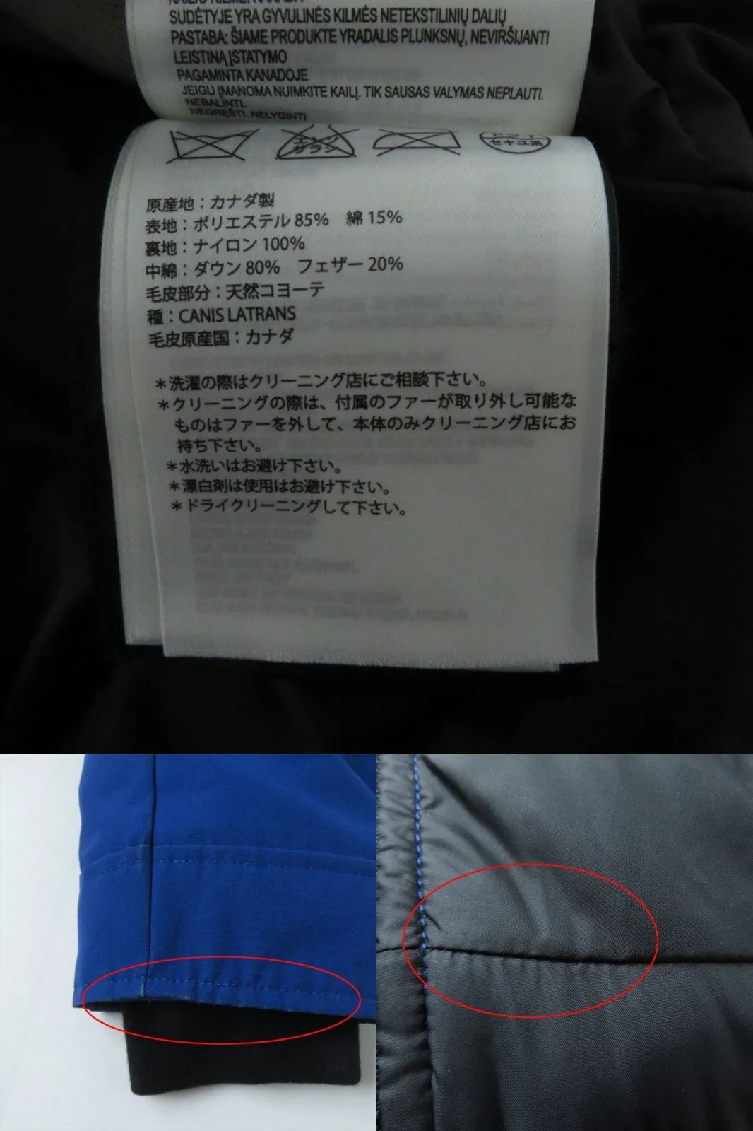 Canada Goose Charlotte Parka Jacket Blue