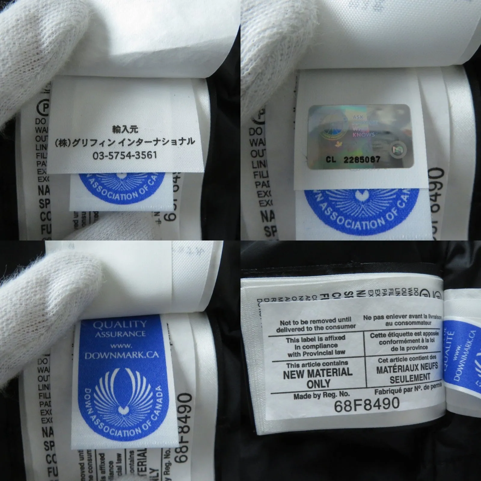 Canada Goose Charlotte Parka Jacket Blue