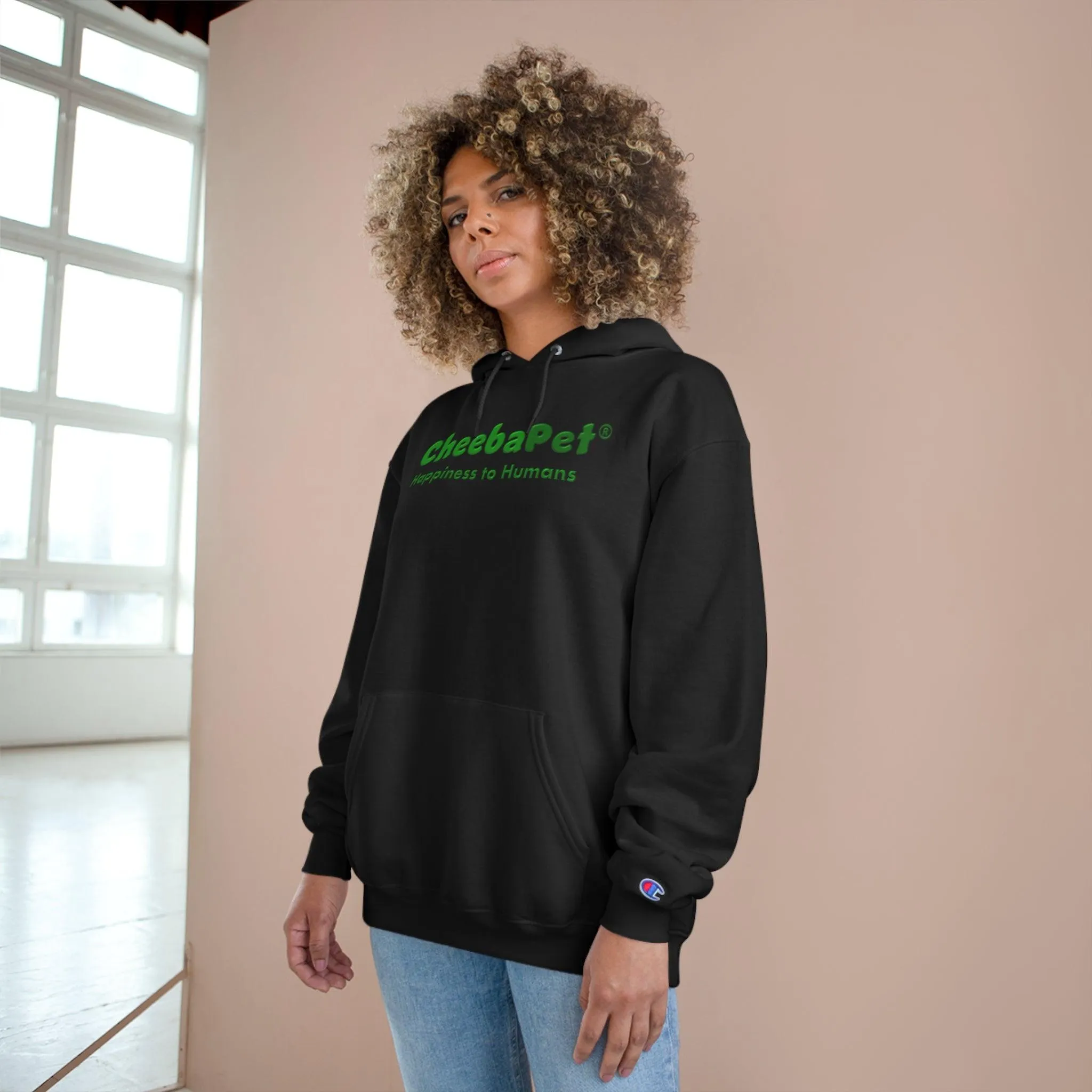 Champion Hoodie NorthernLights