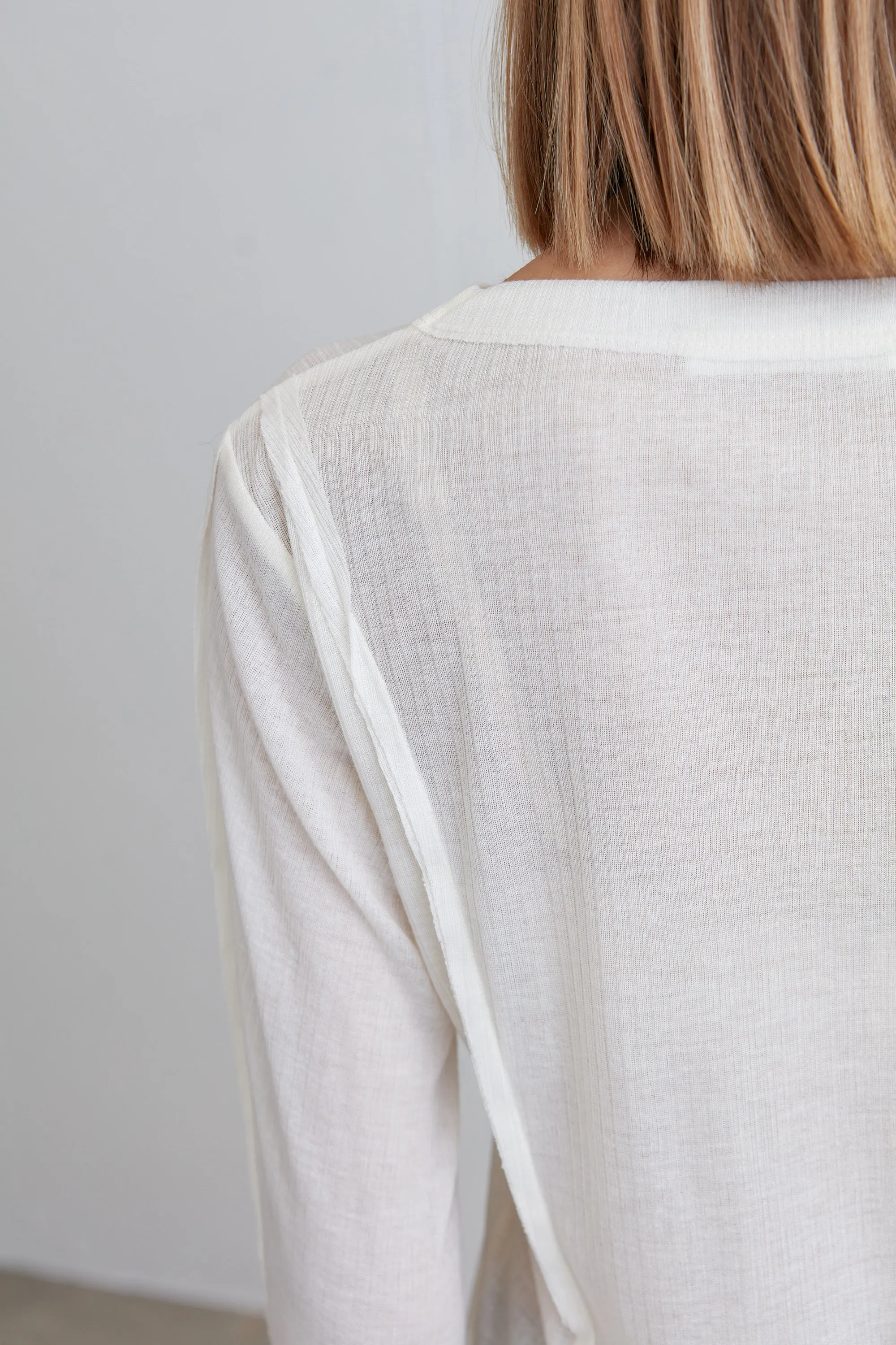 SHEER CREWNECK LONG SLEEVE TOP